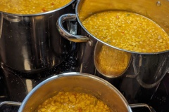 Der-Daal-fuer-Alpha